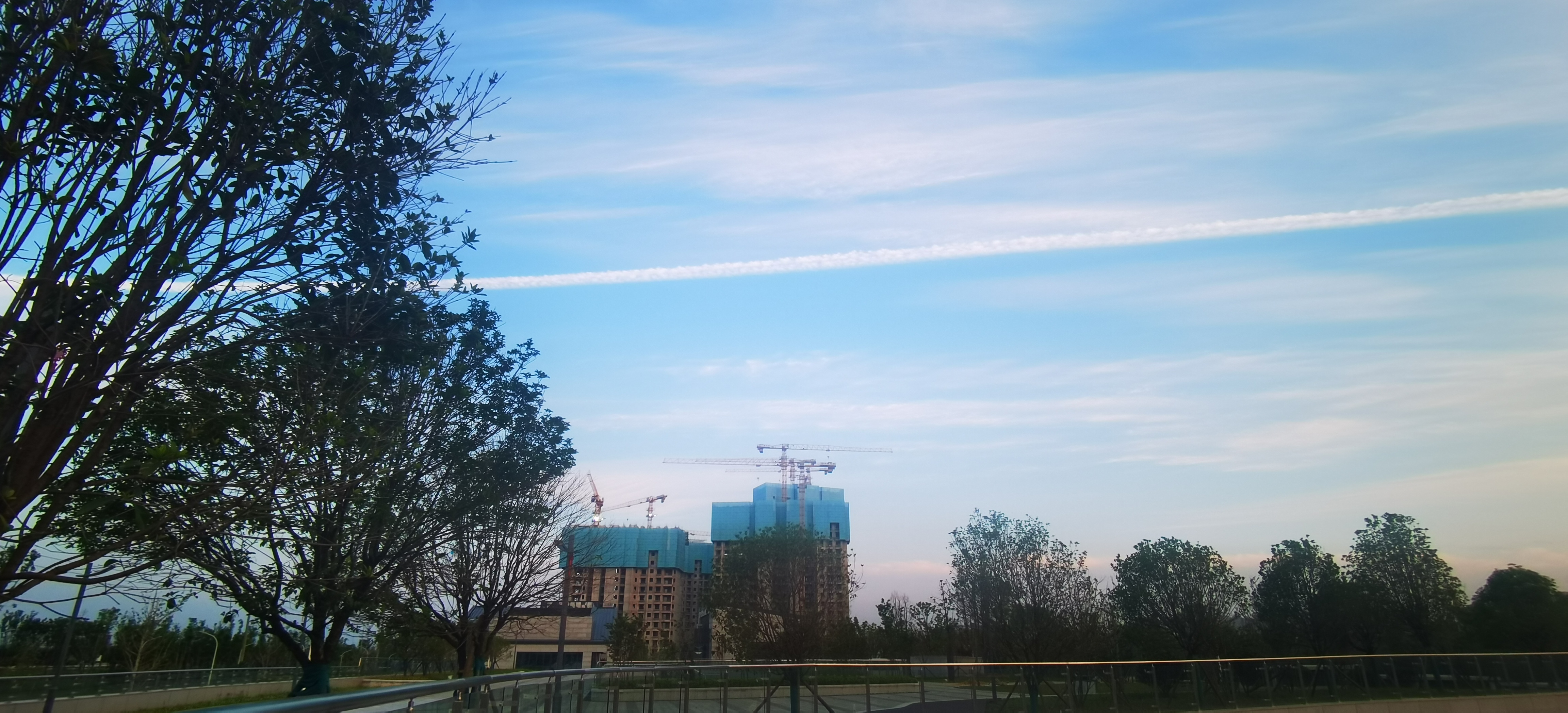 QQ图片20220503230415.jpg