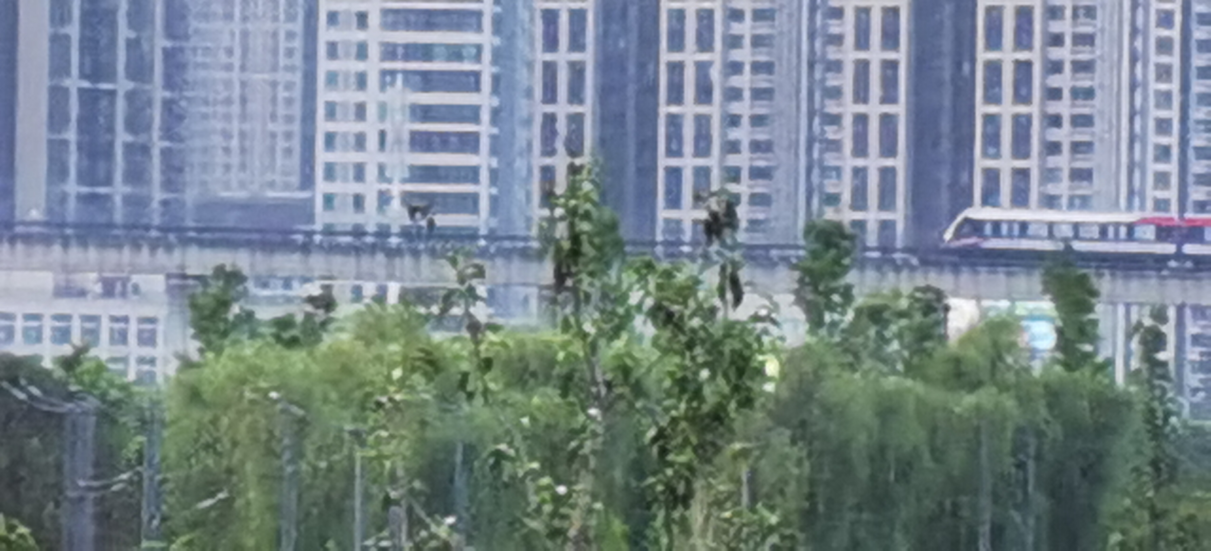 QQ图片20220503230432.jpg